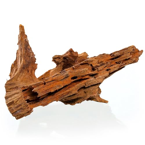 M&S Reptilien Mangrovenwurzel small 20-30 cm sandgestrahlt