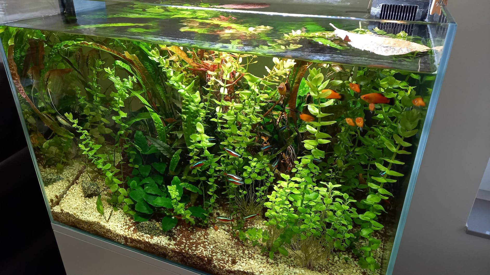 Hobby Terraristik Zeolith I Filtermaterial 500 g Ammoniumschutz