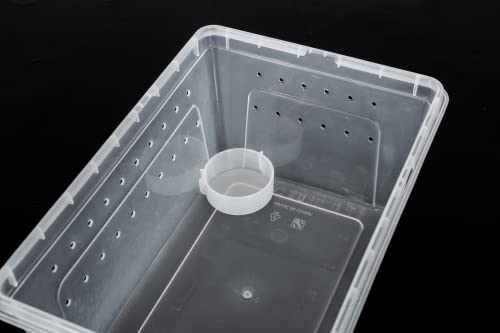 ReptiZoo RT2016M Kunststoffterrarium Medium Wasserschale