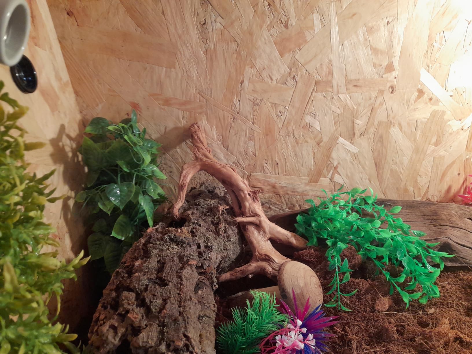 Repiterra Terrarium Holz 100x50x50 cm Seitenbelüftung OSB
