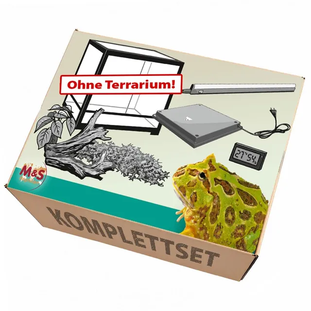 M&S Reptilien Komplettset Pacman-Frösche Zubehör ohne Terrarium