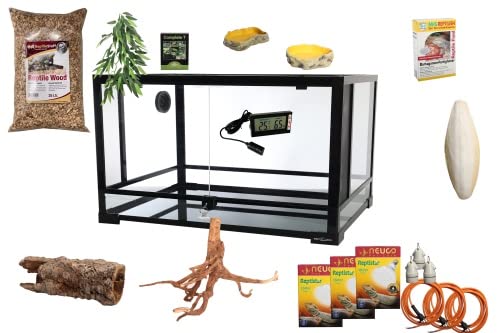 M&S Reptilien Komplettset Leguan Terrarium 182x61x91 cm RK0231