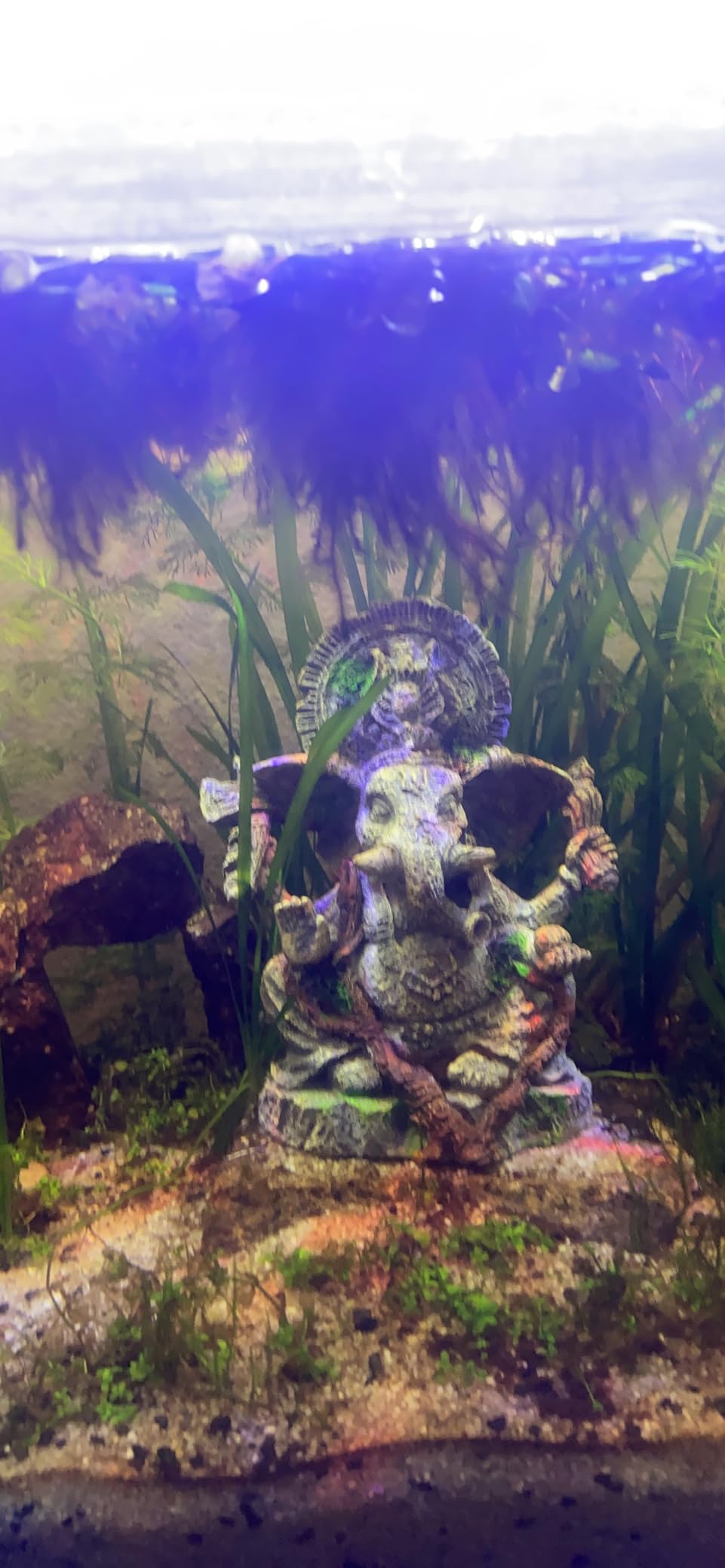 Hobby Vishnu Aquariumdeko 9x6,5x12,5 cm Polyresin