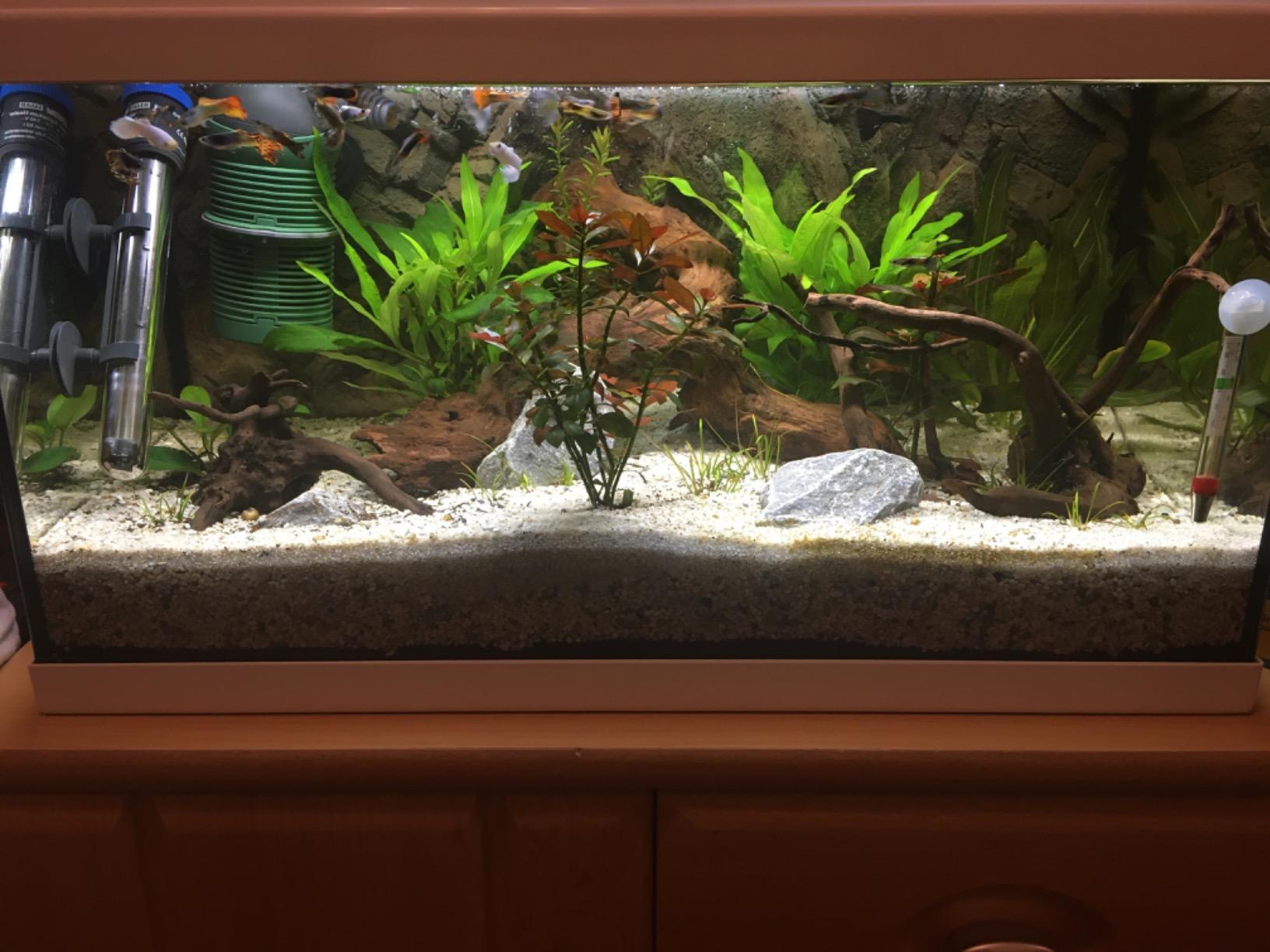 Hobby Torfplatten Aquarium 3 Stück 8x20 cm Naturtorf