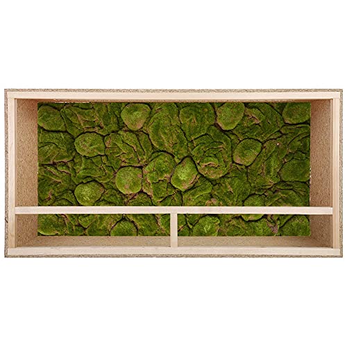 Repiterra Terrarium Rückwand Moos 116x58 cm 3D Hintergrund