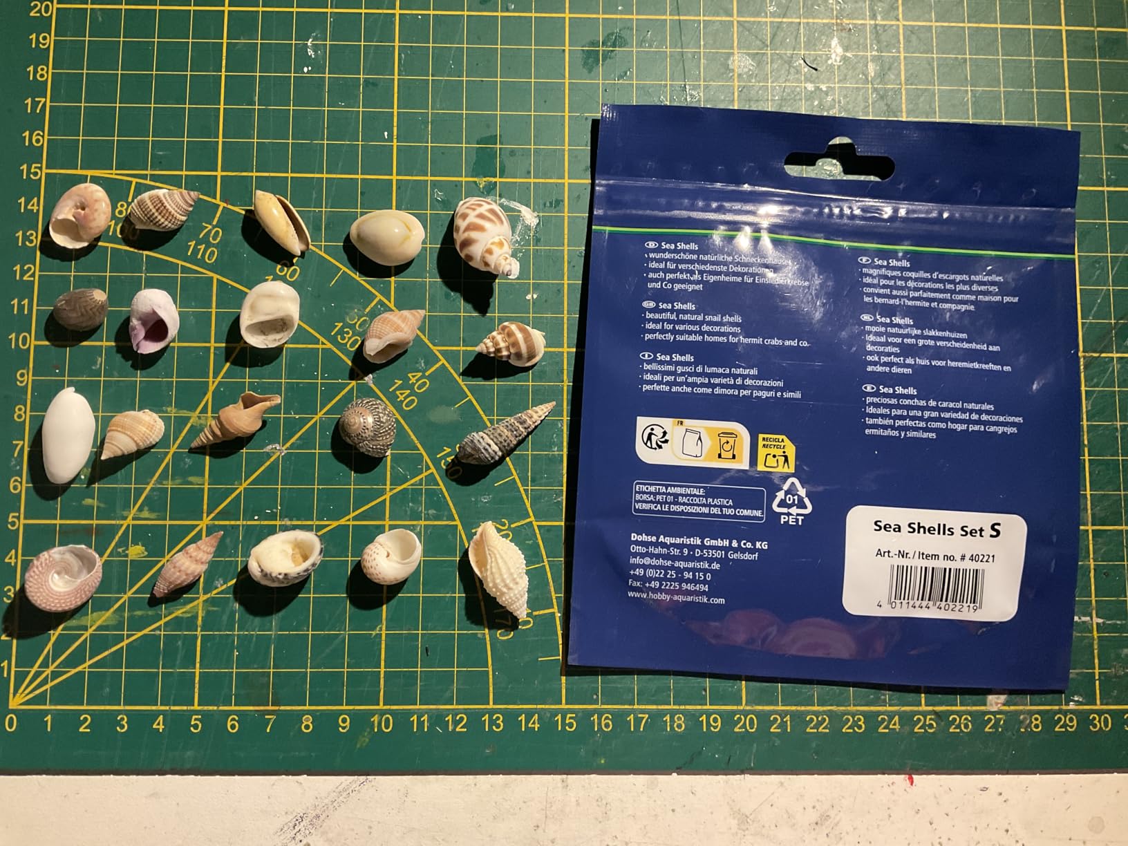 Hobby Sea Shells 40222 Dekomuscheln M 10 Stück natur