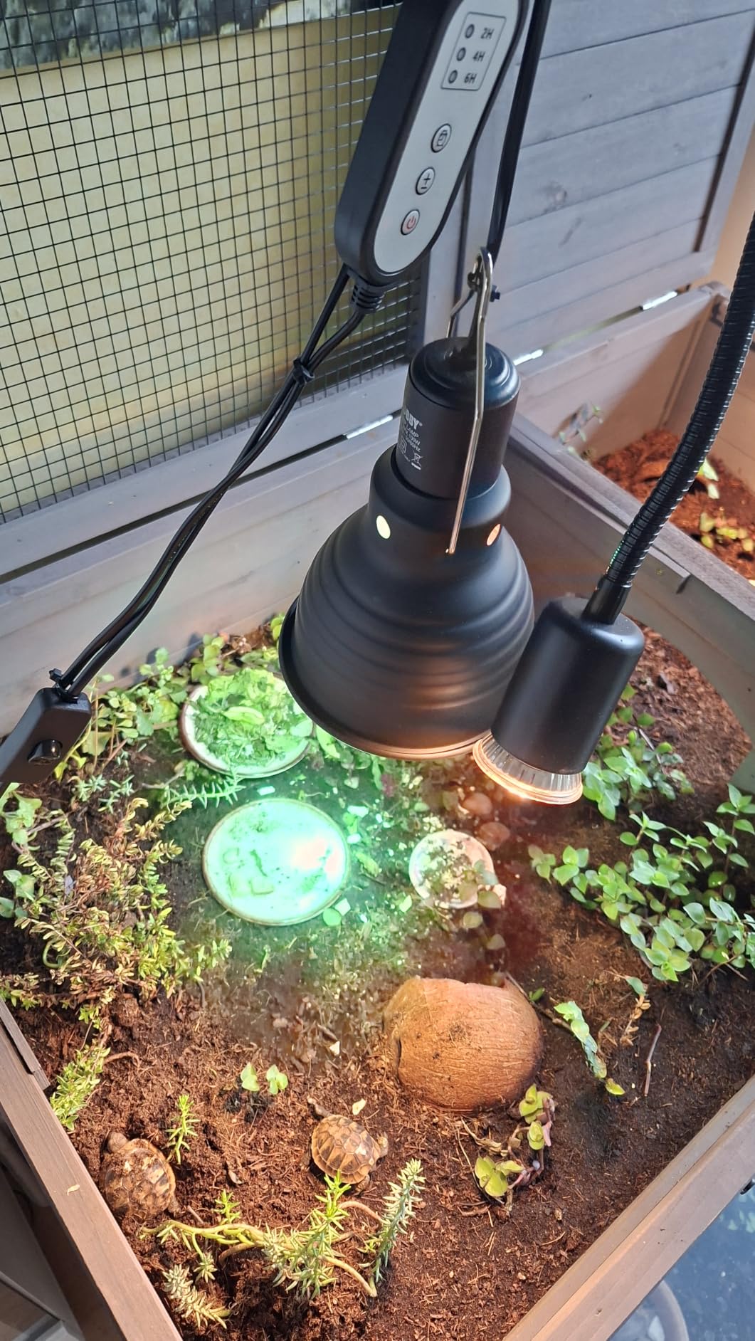 Hobby Clamp Lamp Terrariumleuchte 14 cm E27 Keramik