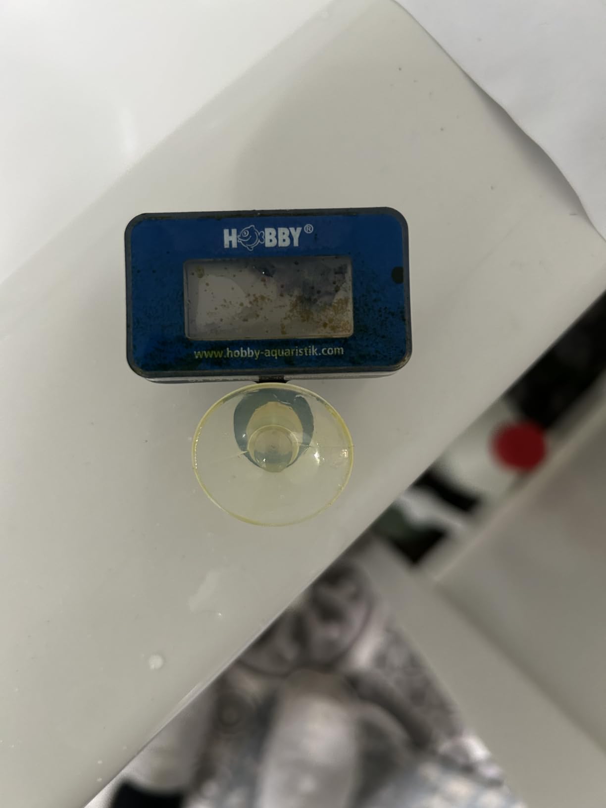 Hobby DT1 Digital-Thermometer dunkelrot Terrarium
