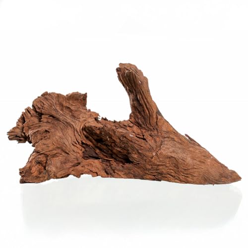 M&S Reptilien Mangrovenwurzel medium 30-40 cm