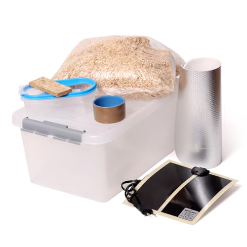 M&S Reptilien Jungschlangen Aufzuchtbox Komplettset 36 cm Box