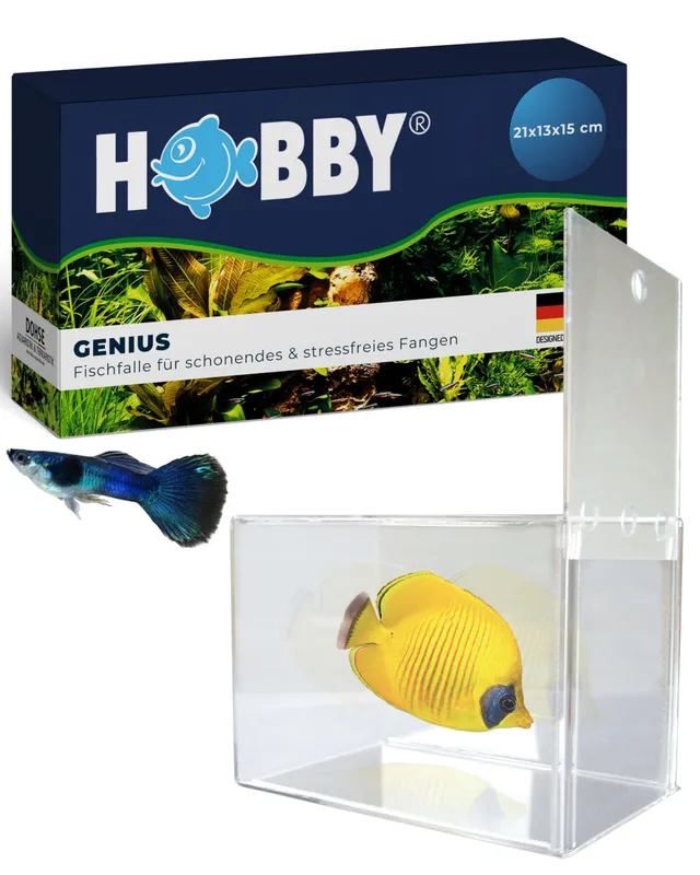 Hobby Genius Fischfalle Aquarium 21x13x15 cm transparent