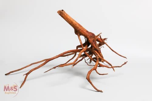 M&S Reptilien Lagune Driftwood Treibholz Small 40-60cm