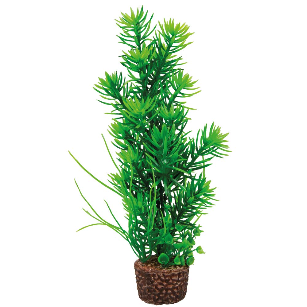 Hobby Flora Stone 6 Kunstpflanze 4x25 cm Keramikfuß
