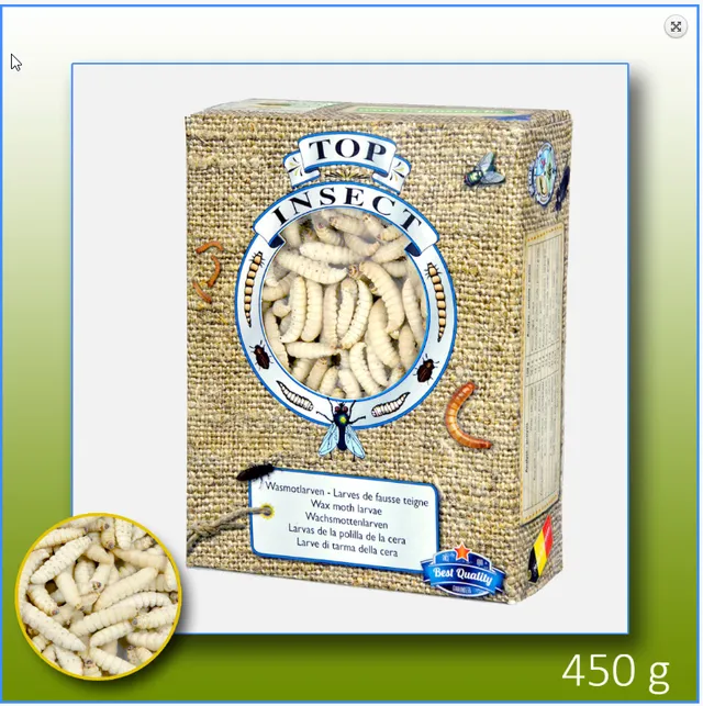 intipa Wachsraupenlarven Lebendfutter 450 g fettreich