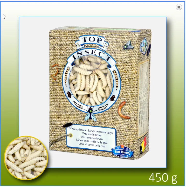 intipa Wachsraupenlarven Lebendfutter 450 g fettreich