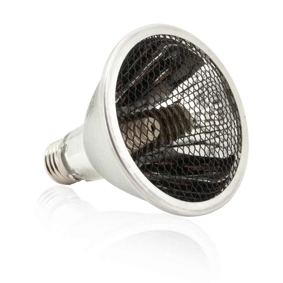 Econlux Solar Raptor HeatingLamp Dunkelstrahler E27 ohne Licht
