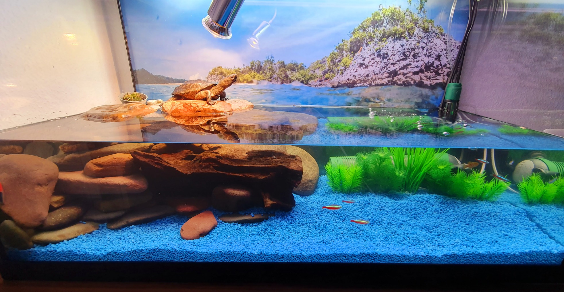 Hobby Turtle Clear Granulat 150 g Wasserpflege geruchsfrei