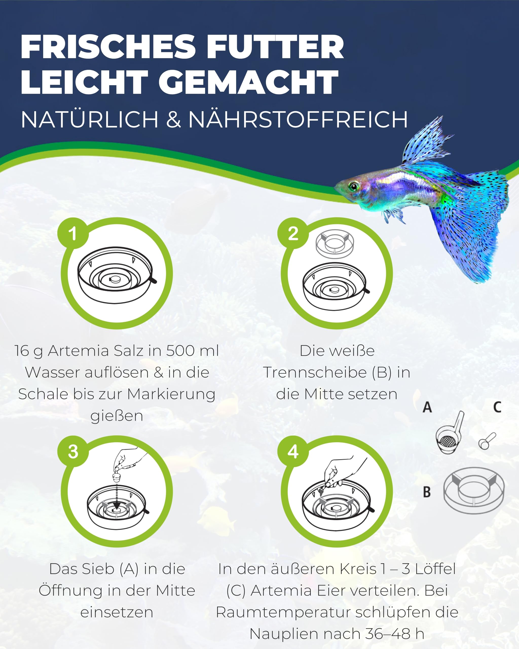 Hobby Artemia Aufzuchtschale mit Sieb und Löffel