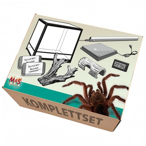 M&S Reptilien Komplettset Vogelspinne Terrarium 60x45x45 RK0107