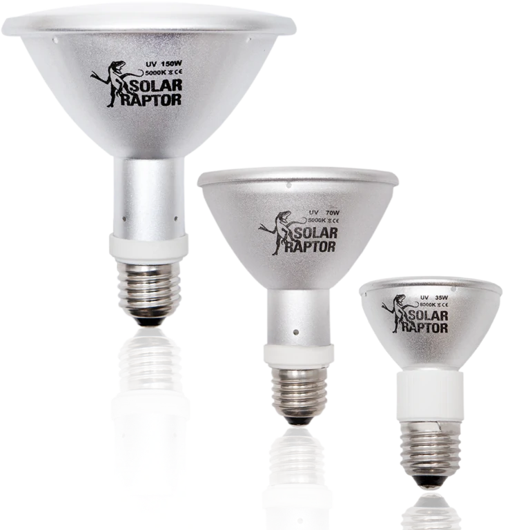 Econlux Solar Raptor UV HID-Lampe Tageslicht 5000K UV