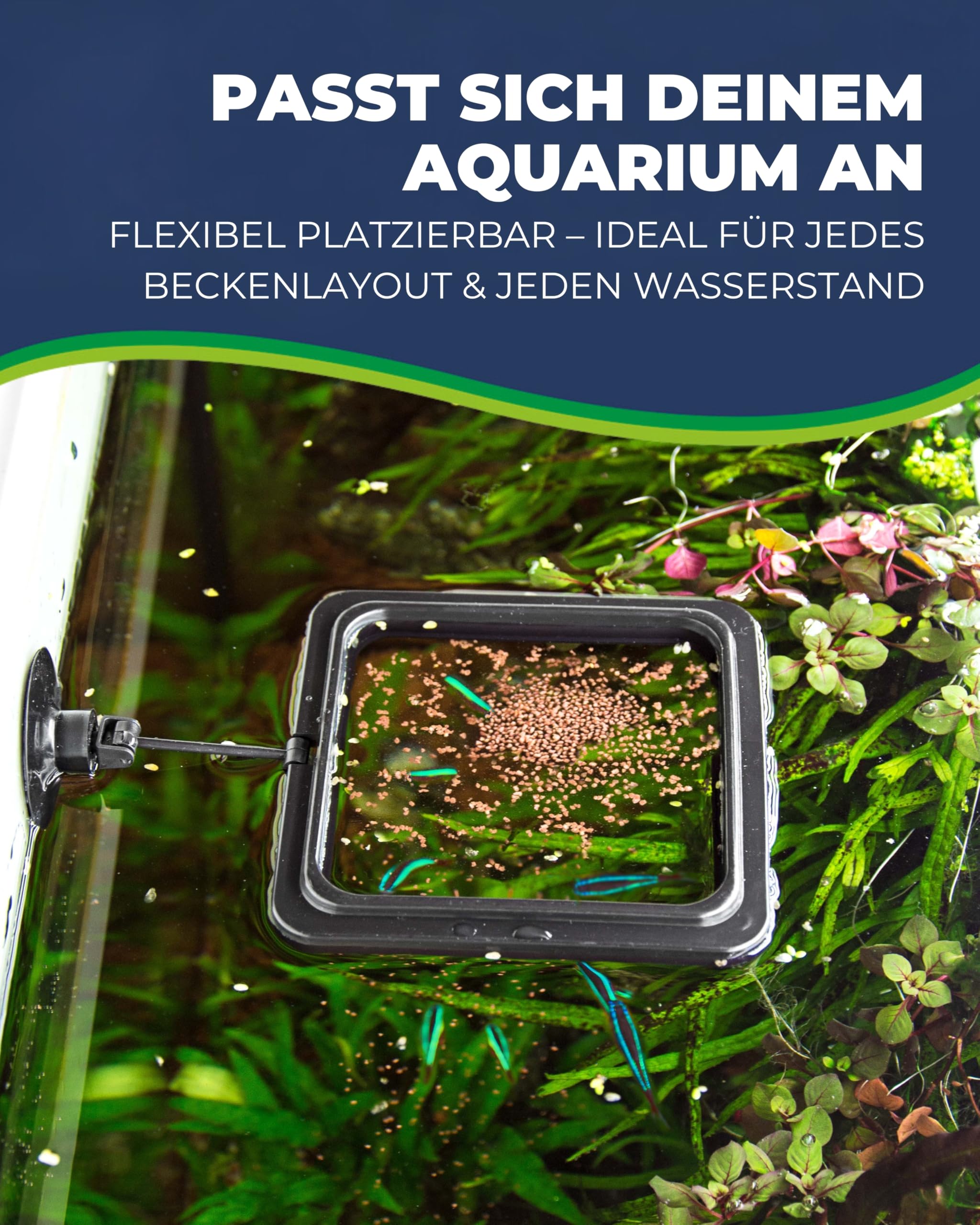 Hobby Feeding Station 2 Futterring eckig 10x10 cm mit Saugnapf