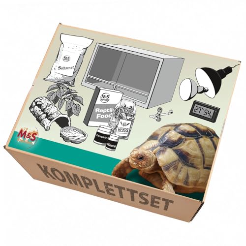 M&S Reptilien Komplettset Landschildkröte Terrarium Holz