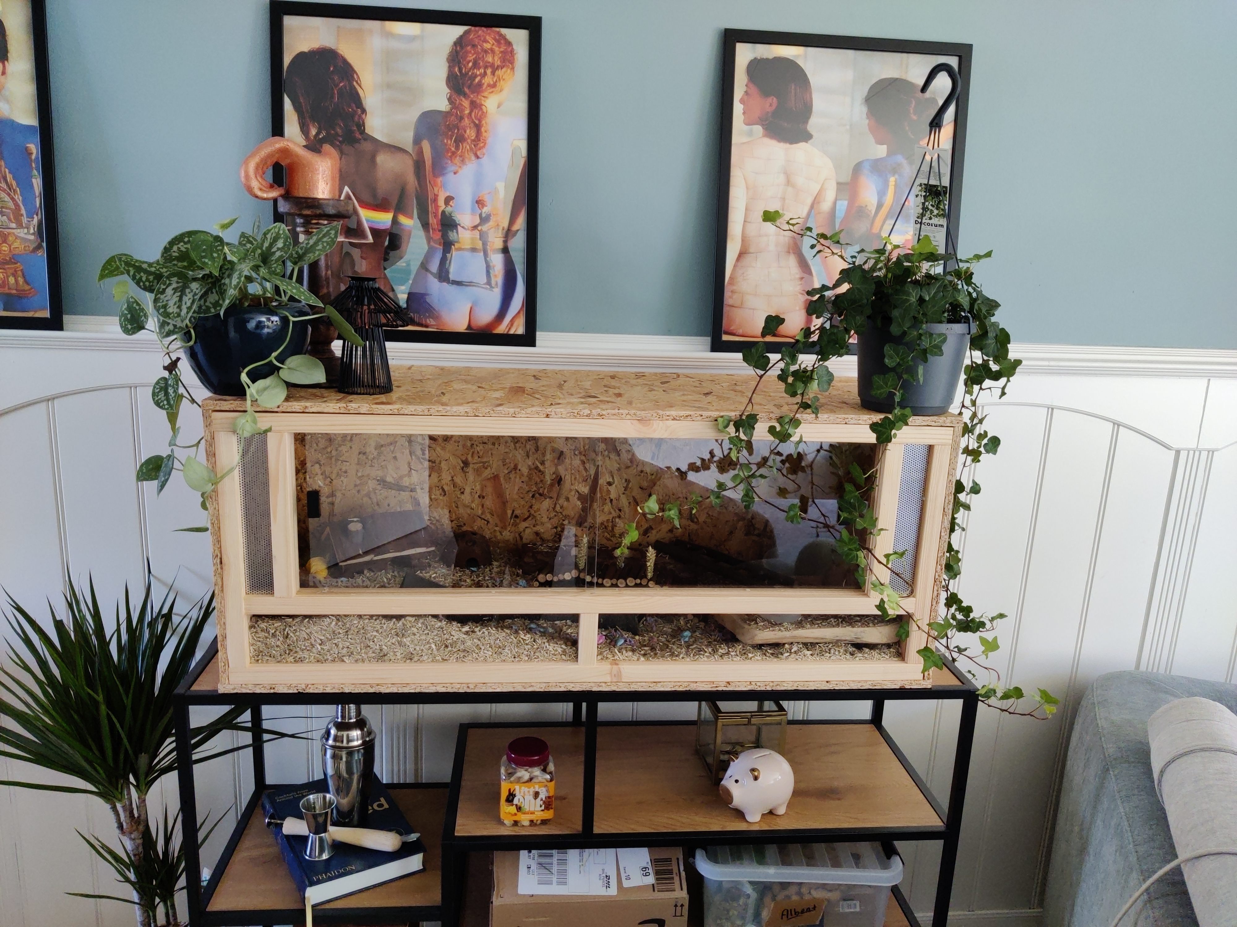 Repiterra Holzterrarium Frontbelüftung 100x40x40 cm OSB