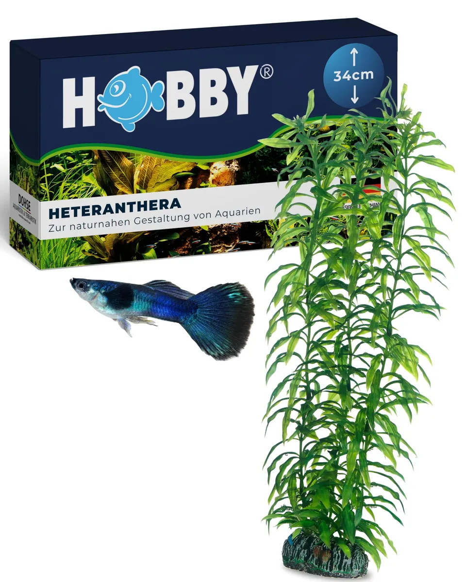 Hobby Heteranthera Kunstpflanze Aquarium 34 cm naturnah felsfixiert