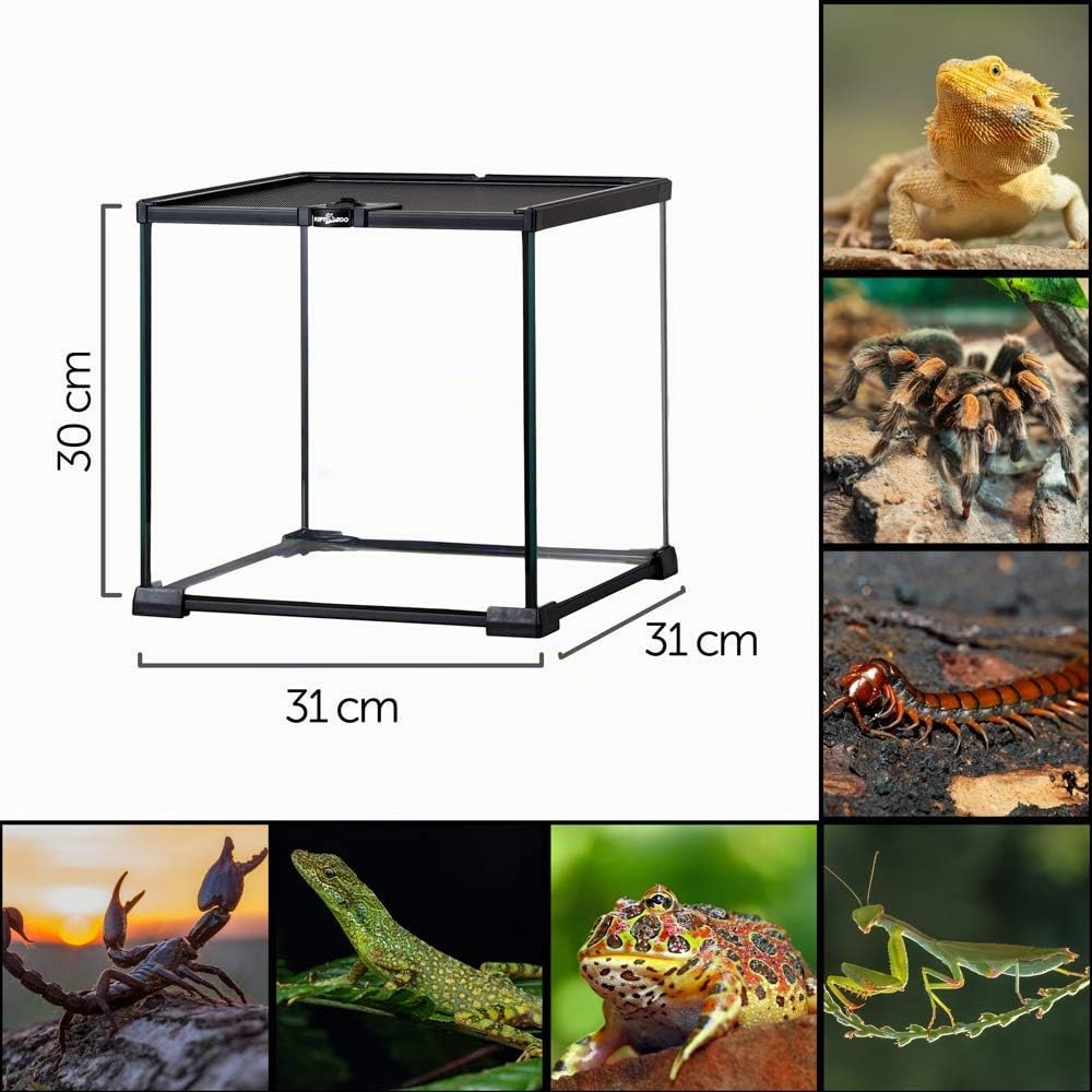 Repti Zoo Simple Habitat Terrarium 31x31x30 cm Futterloch