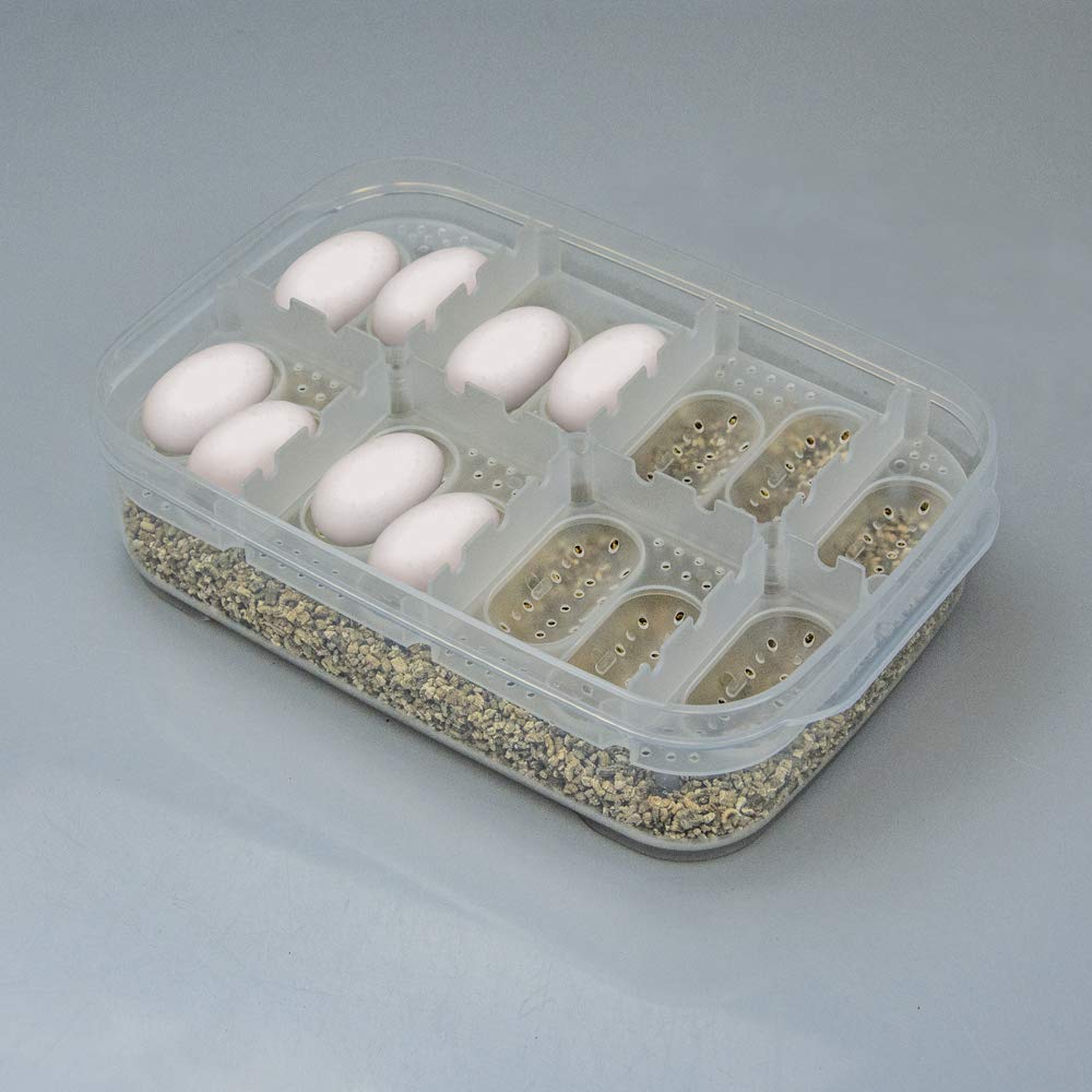 Hobby Easy Breeder Box Brutbox für 14 Eier