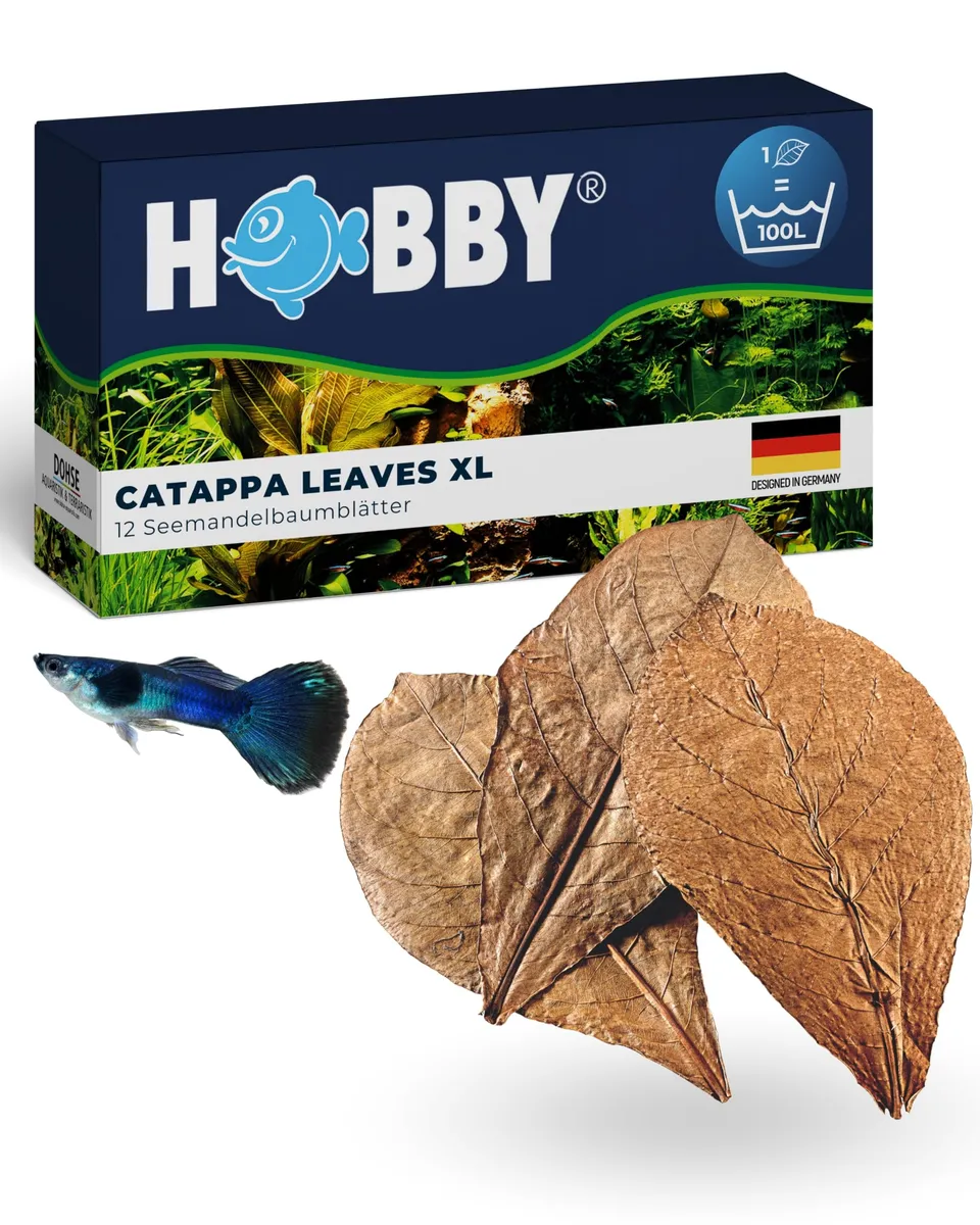 Hobby Catappa Leaves XL Seemandelbaumblätter 12 Stück