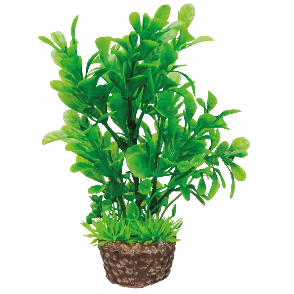 Hobby Flora Stone 6 Kunstpflanze 4x25 cm Keramikfuß