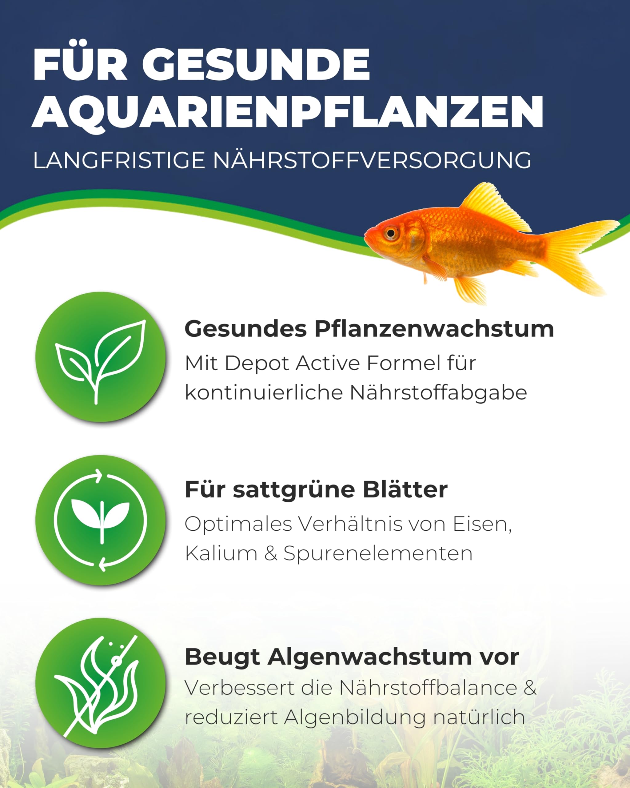 Hobby Plant Fit I Flüssigdünger 5000 ml ohne Nitrat Phosphat