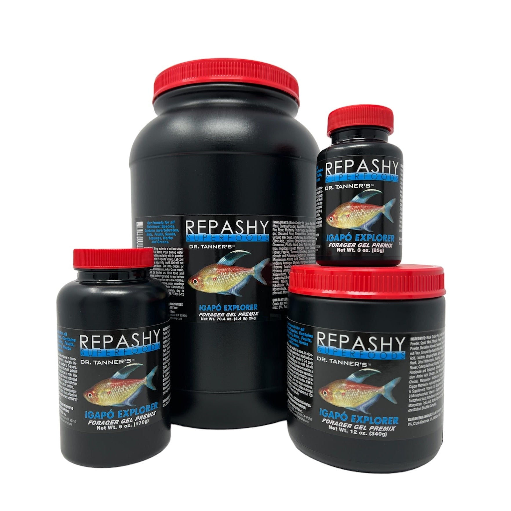 Repashy Igapo Explorer Fischfutter 85 g Gel