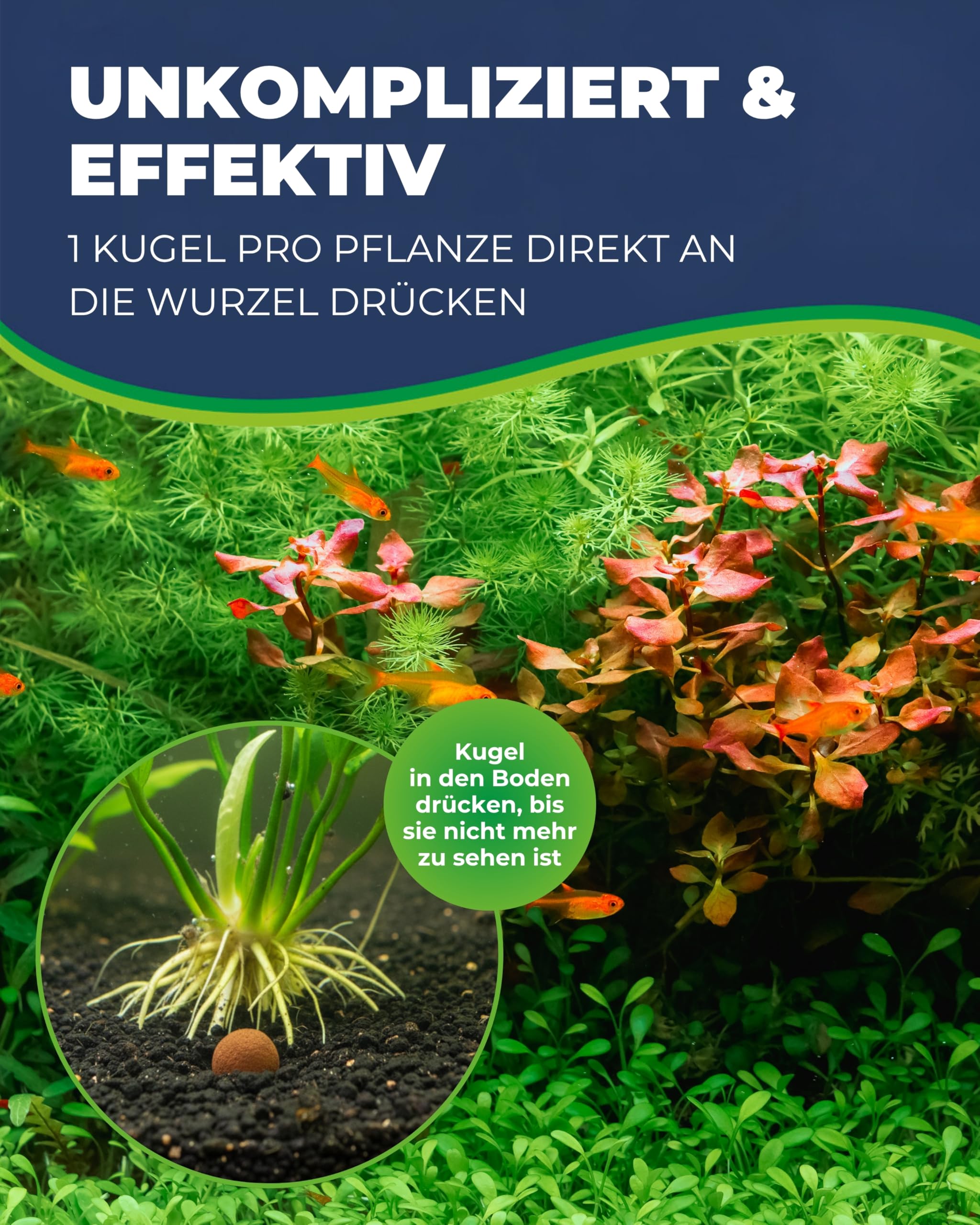 Hobby Laterit Wurzeldünger 20 Kugeln Ø15 mm eisenreich