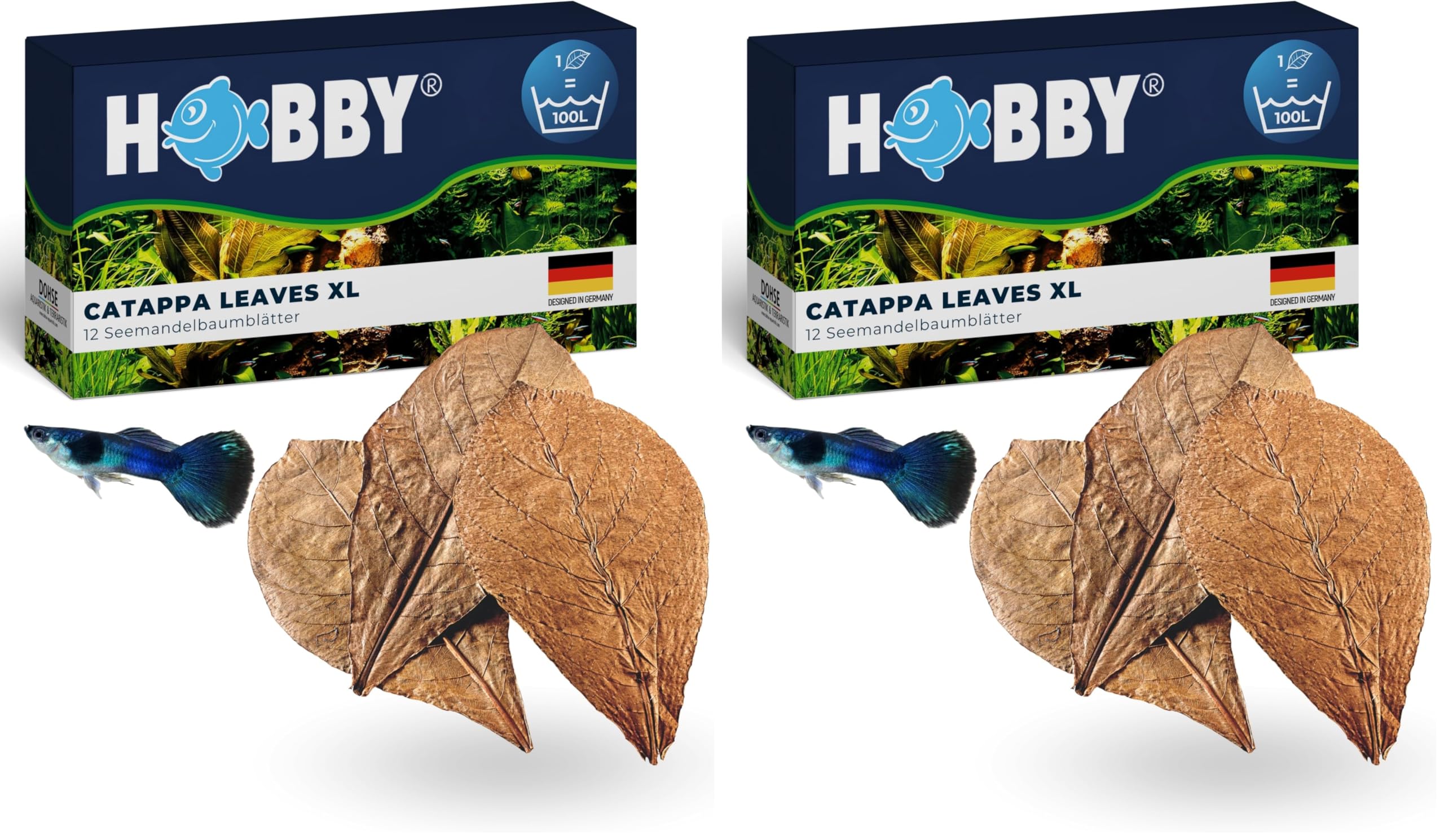 Hobby Catappa Leaves XL Seemandelbaumblätter 12 Stück