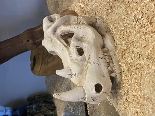 ReptiZoo ERS35 Nashornschädel Versteck M 17,5 cm