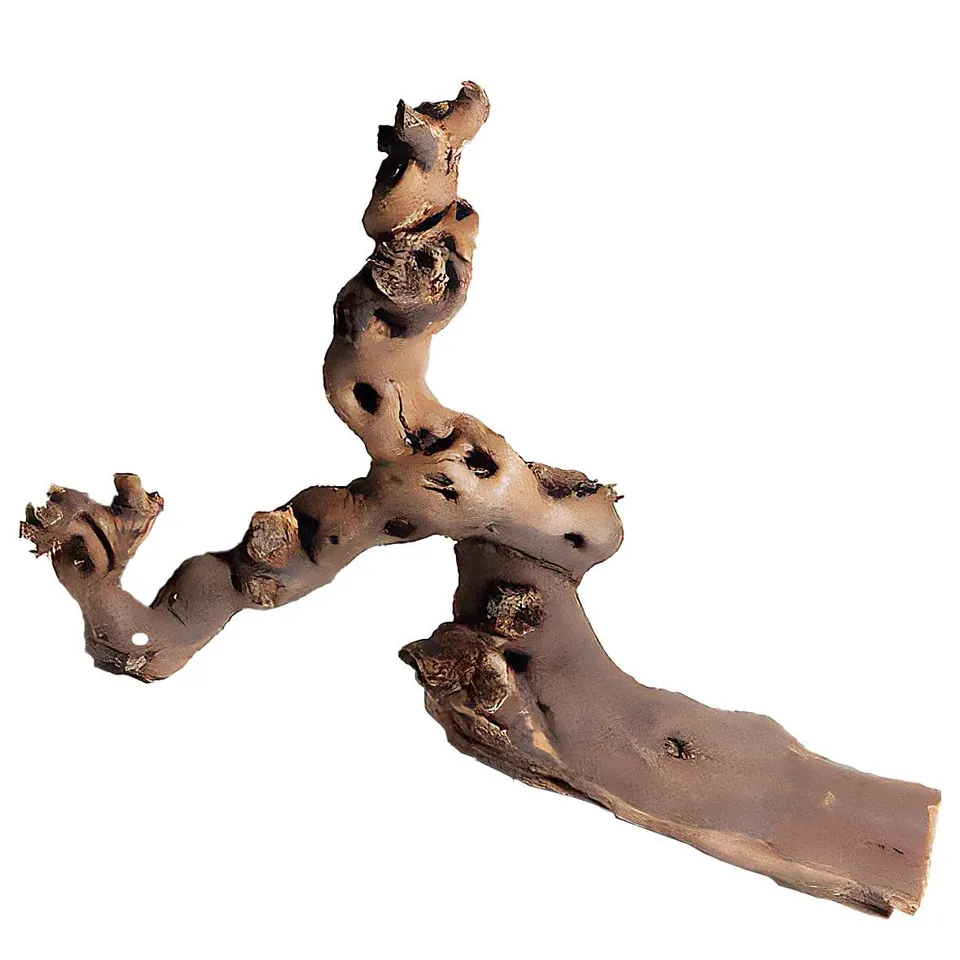 M&S Reptilien Rebwurzel XL Wurzel 70-80 cm Naturholz