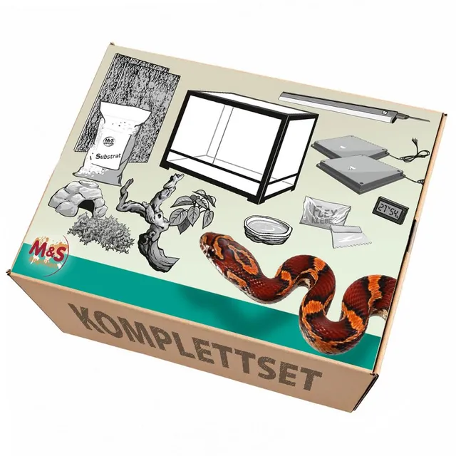 M&S Reptilien Komplettset Kornnatter Terrarium 120x60x60 RK0227