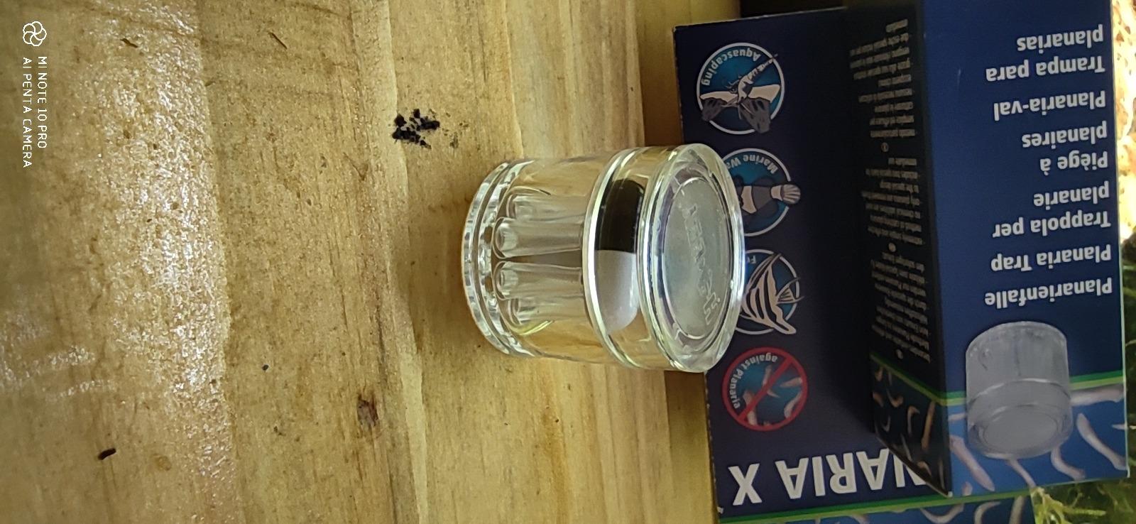 Hobby Planaria X Planarienfalle mit 2 Spezialköder chemiefrei