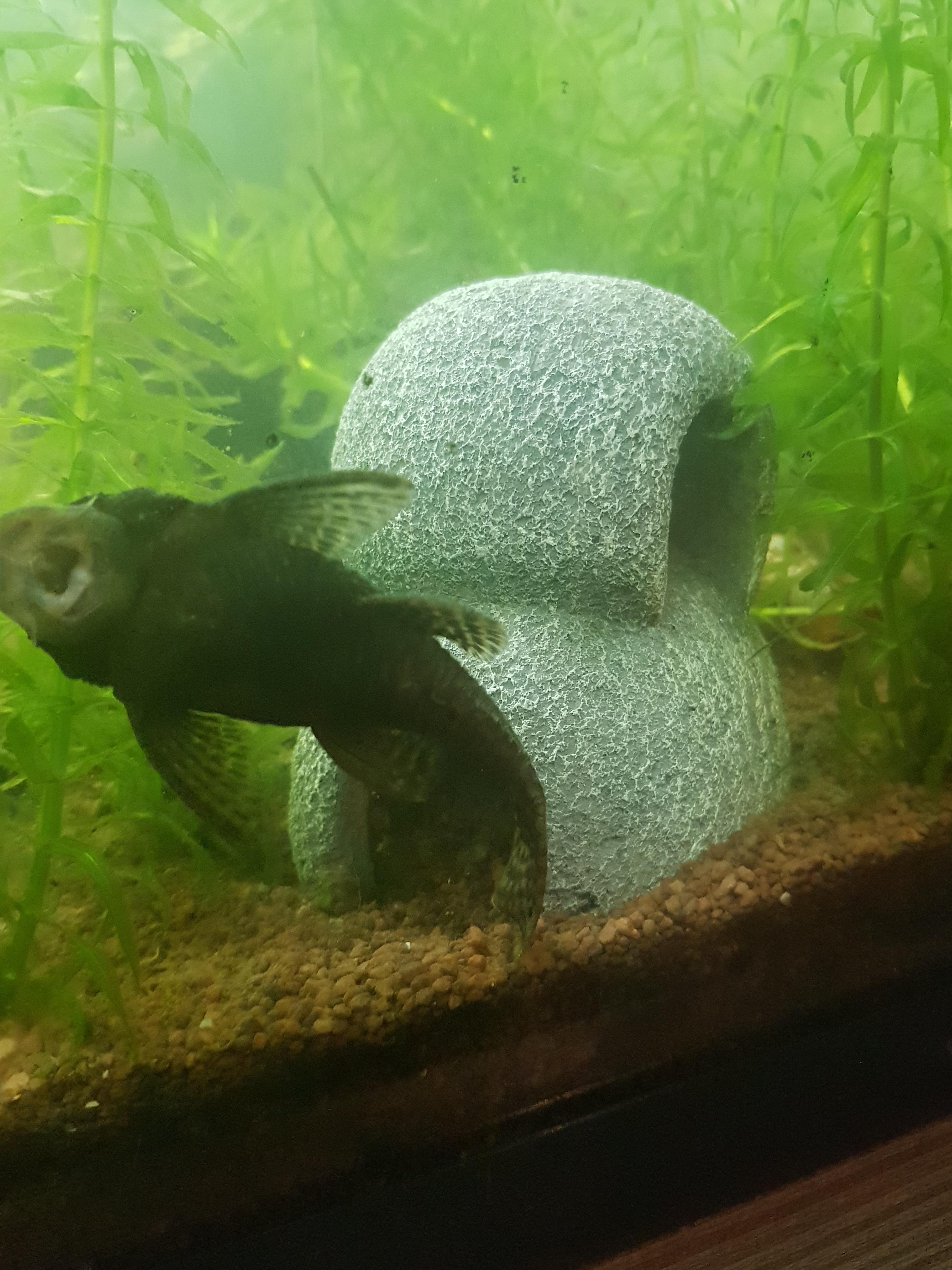 Hobby Marble Cave 2 Aquariumhöhle 8,5x9,5x8,5 cm Kunstharz