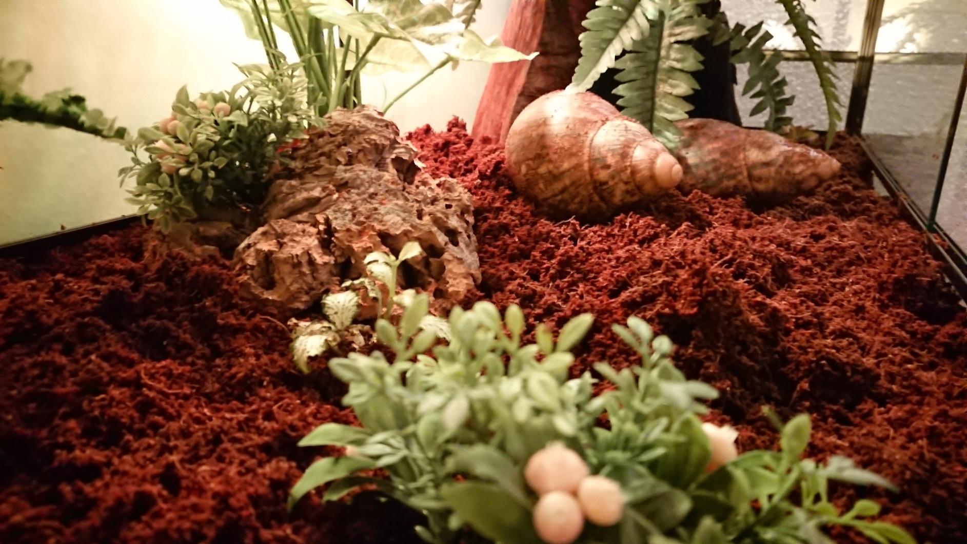 ReptiZoo RK0222 Glas-Terrarium 120x45x45 cm zerlegbar