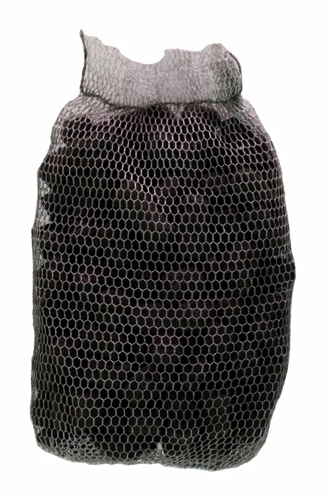 Zoo Med PPTC-10 Aktivkohle 3er Pack für TC-23 PF-11