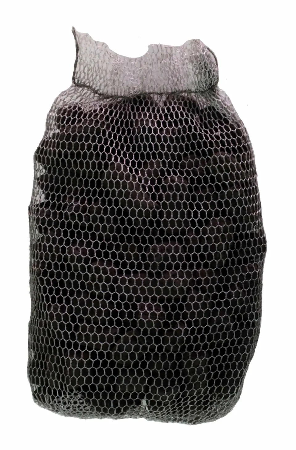 Zoo Med PPTC-10 Aktivkohle 3er Pack für TC-23 PF-11