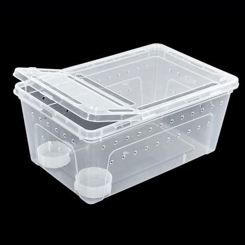 ReptiZoo RT2016L Kunststoffterrarium Large Wasserschale