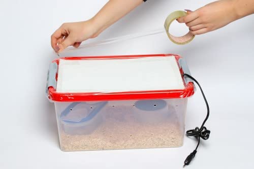 M&S Reptilien Jungschlangen Aufzuchtbox Komplettset 36 cm Box