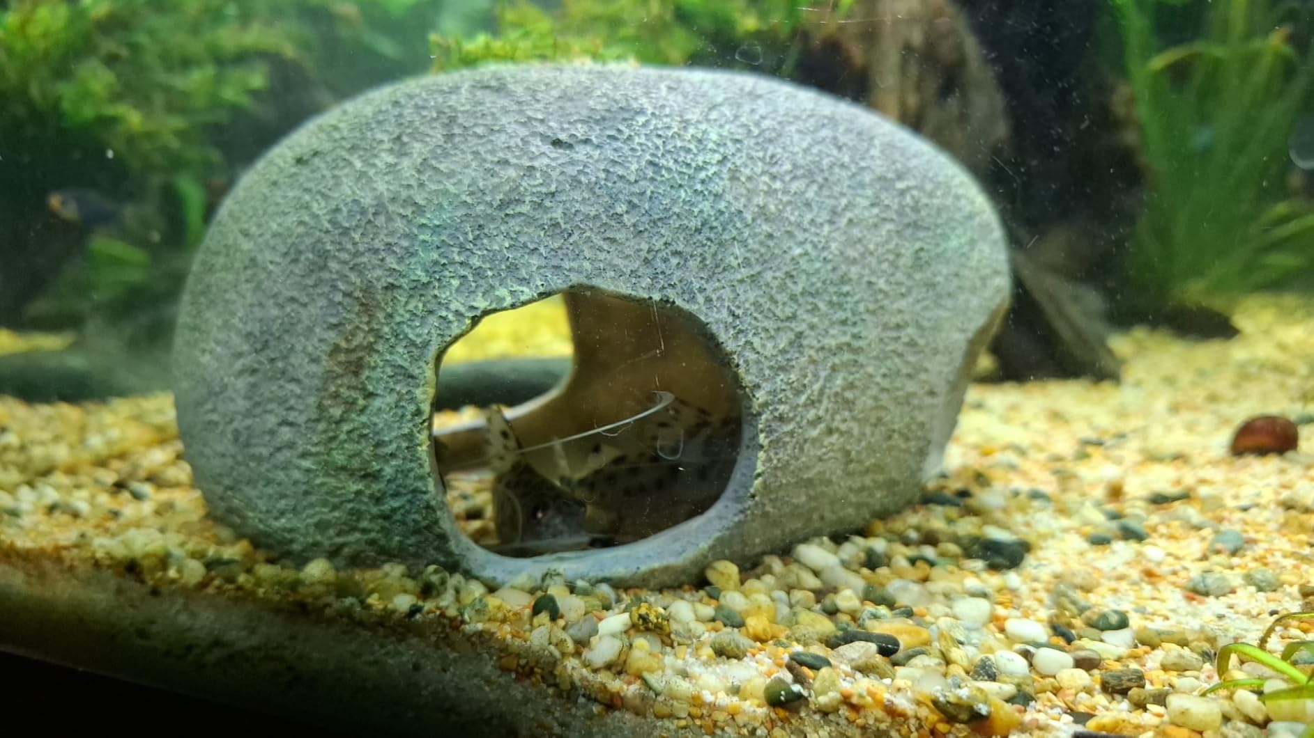 Hobby Marble Cave 8 Aquariumhöhle 20x11x14,5 cm