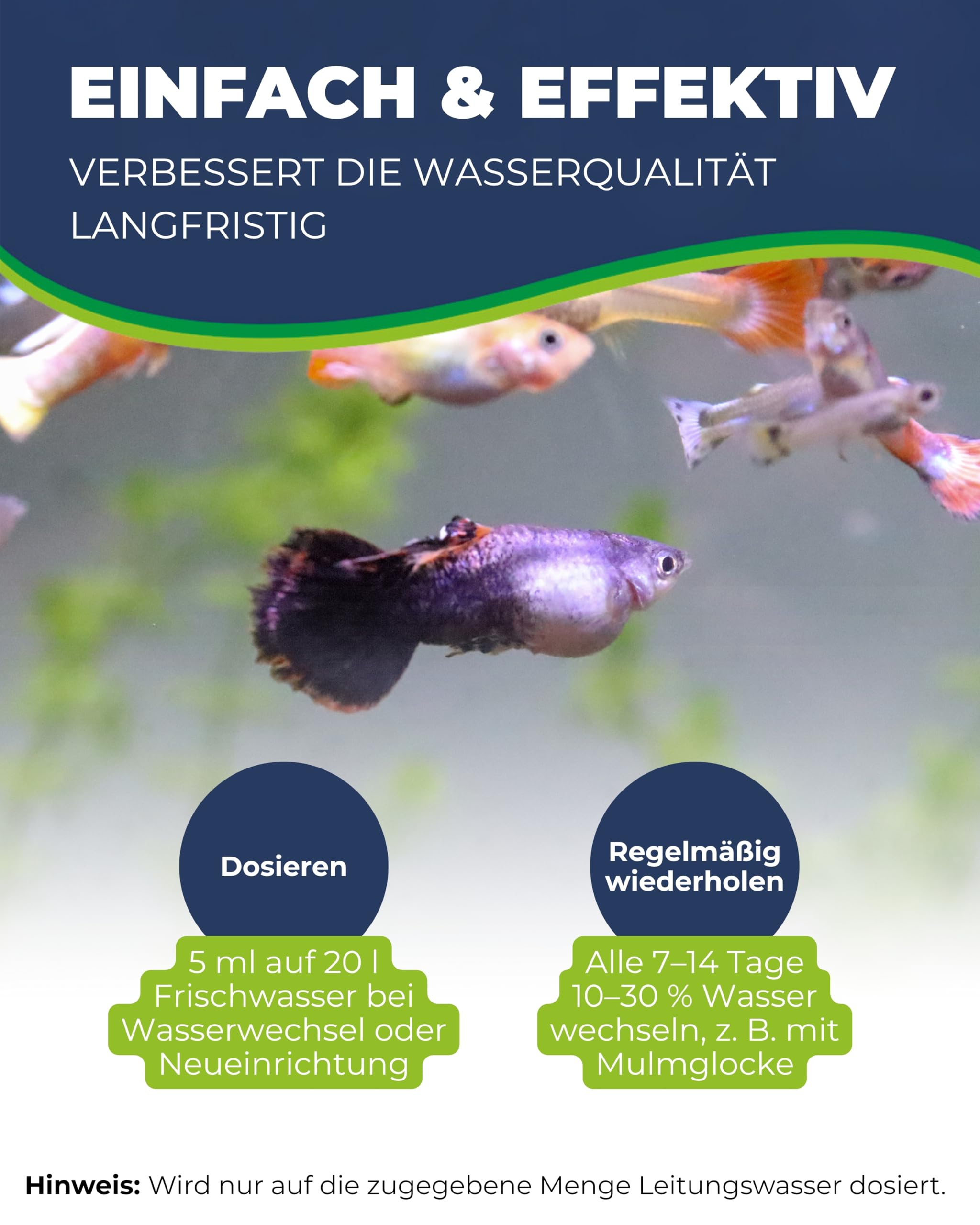 Hobby Natural Water Fit Wasseraufbereiter 250 ml mit Aloe Vera