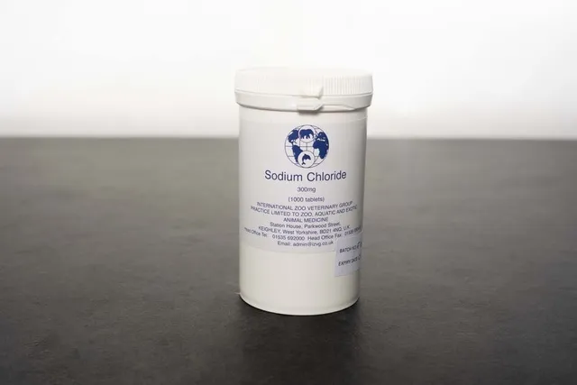 Salztabletten 300 mg Dose 1000 Stück Mineral