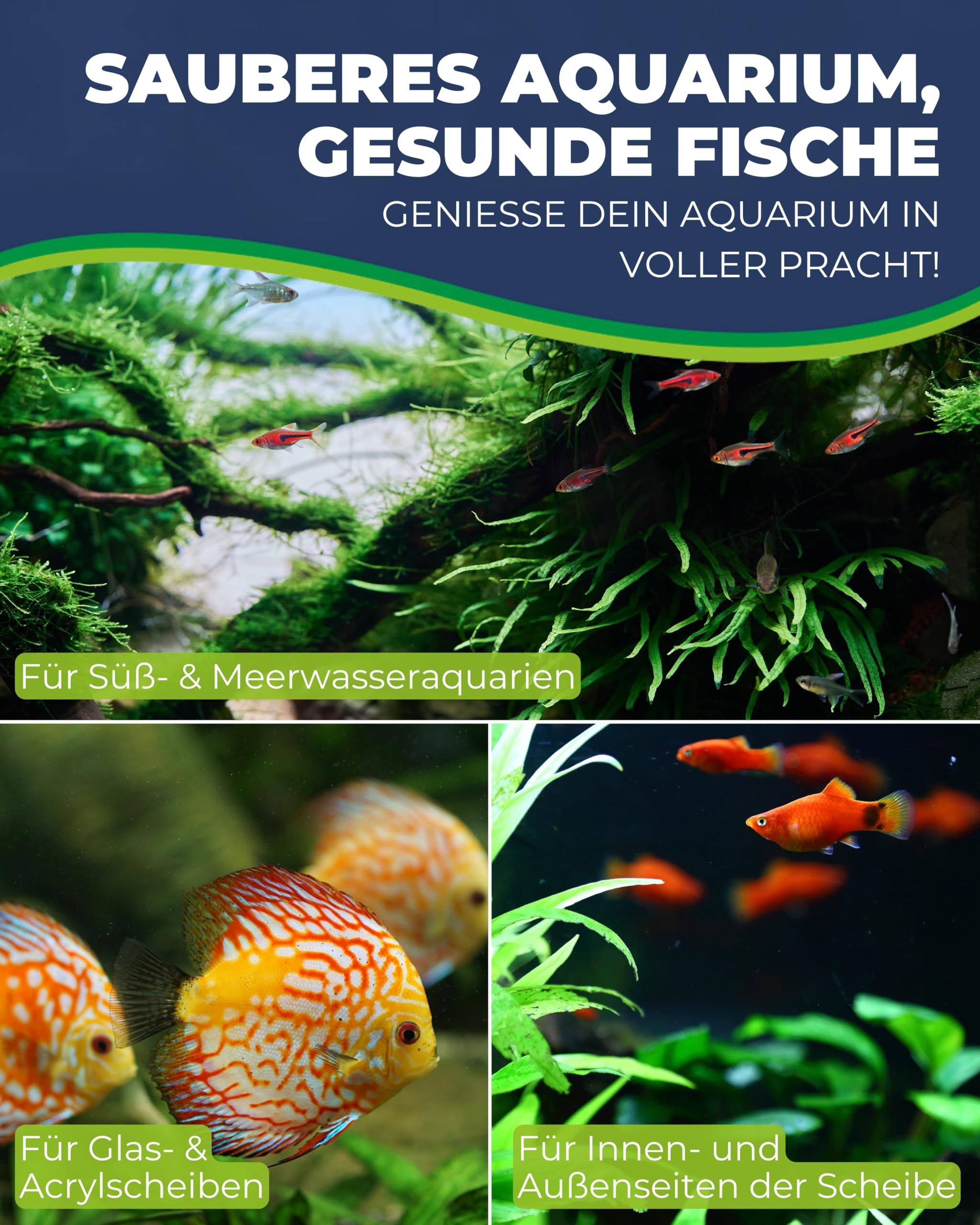 Hobby Bravo Algen-Radierer Scheibenreiniger Süßwasser